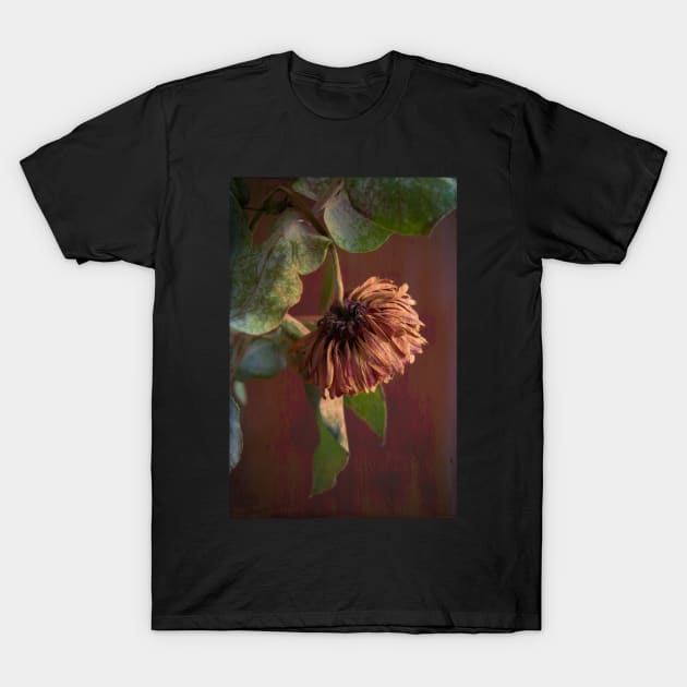 Petals III T-Shirt by RJDowns